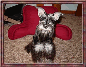 Balder.gif image by webquacks