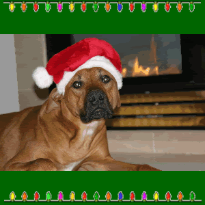 colby.gif image by webquacks