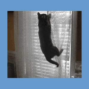 curtains.gif image by webquacks