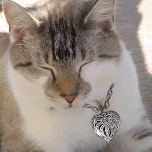 locket4.gif image by webquacks