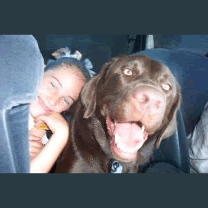 snickers.gif image by webquacks