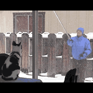 snow.gif image by webquacks